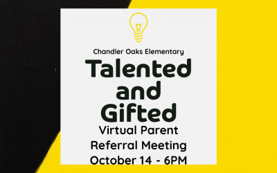 Talented and Gifted Virtual Parent Referral Meeting
